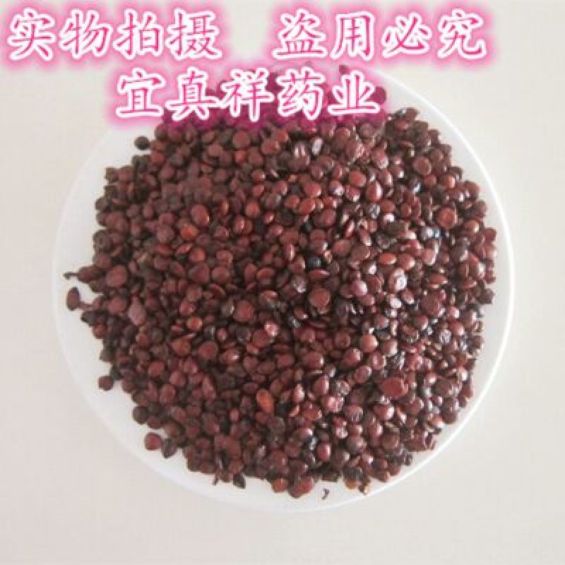 酸枣仁统货