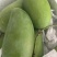 精品大青芒10量以上！口感香甜无酸！果肉细腻，粗纤维少