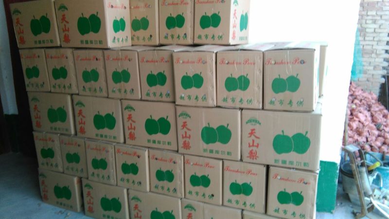 酥梨