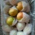 玉露香350~400g纸箱