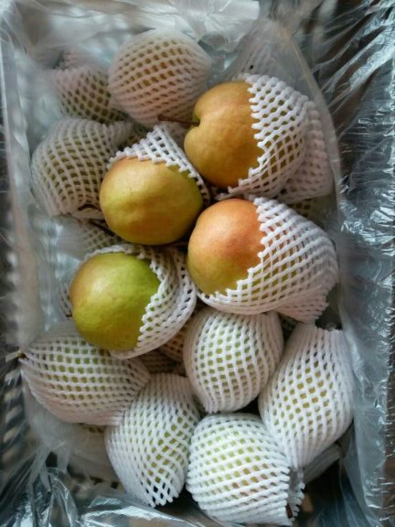 玉露香350~400g纸箱