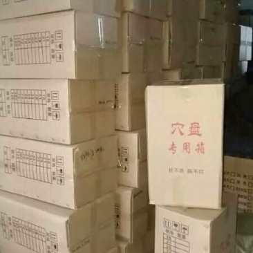 穴盘