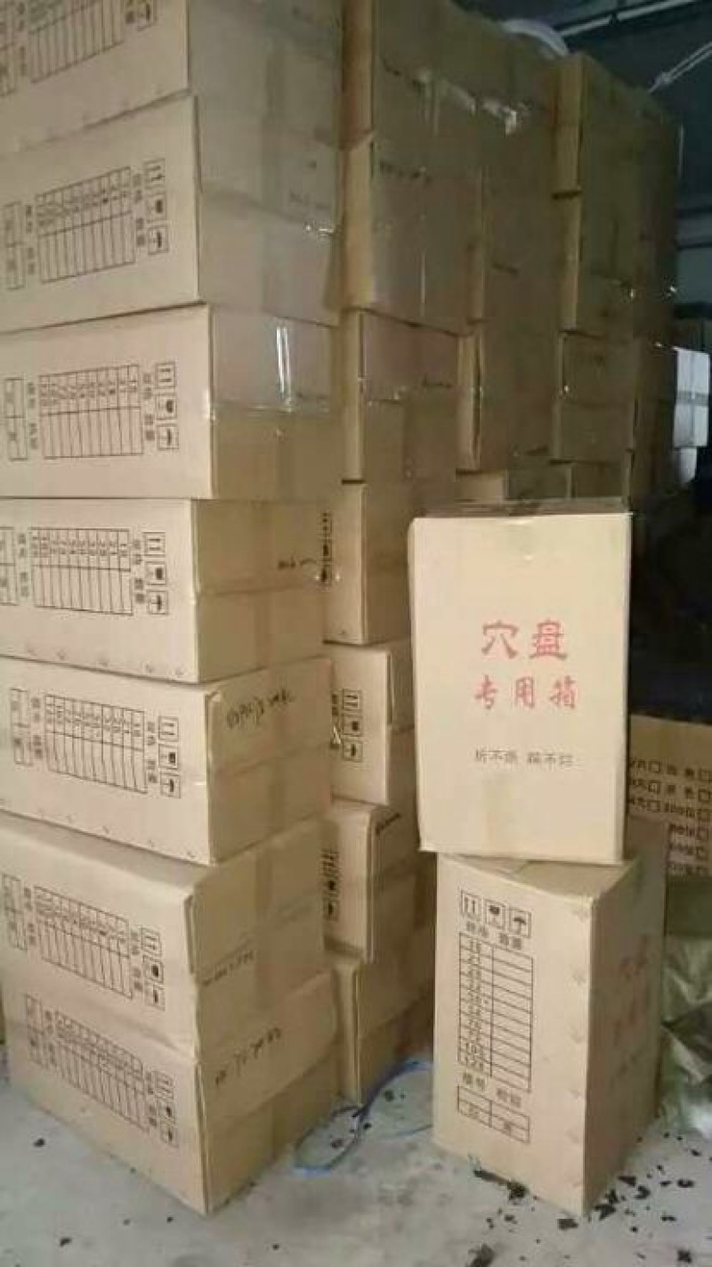 穴盘