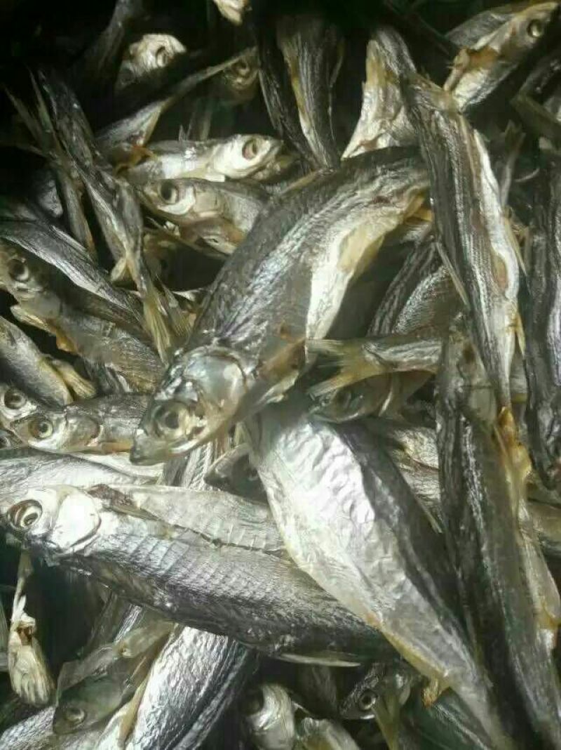 河汊小干鱼