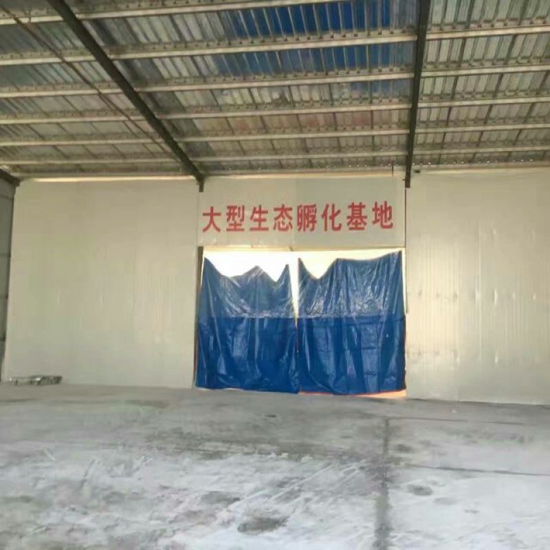 鹅苗250g以下