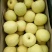 砀山梨200~250g纸箱