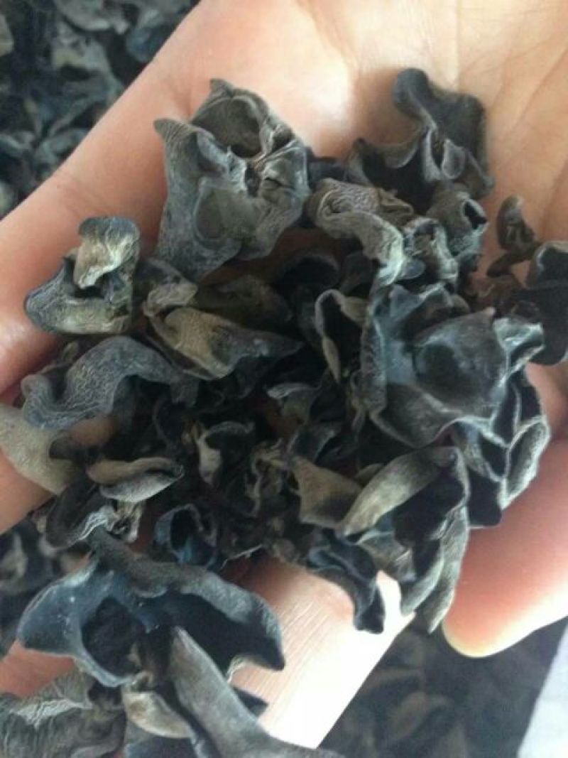 黑木耳一级