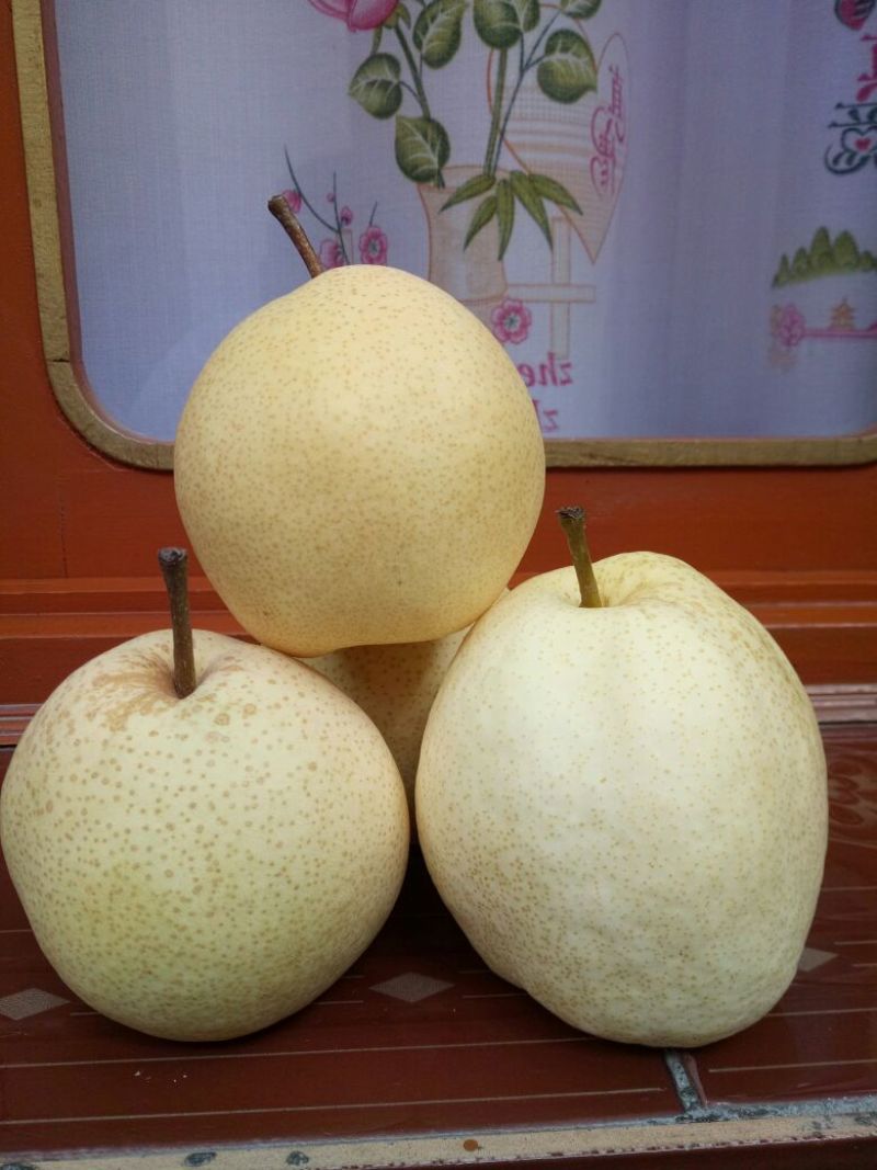 酥梨400~450g纸加膜