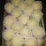 砀山梨250~300g纸袋