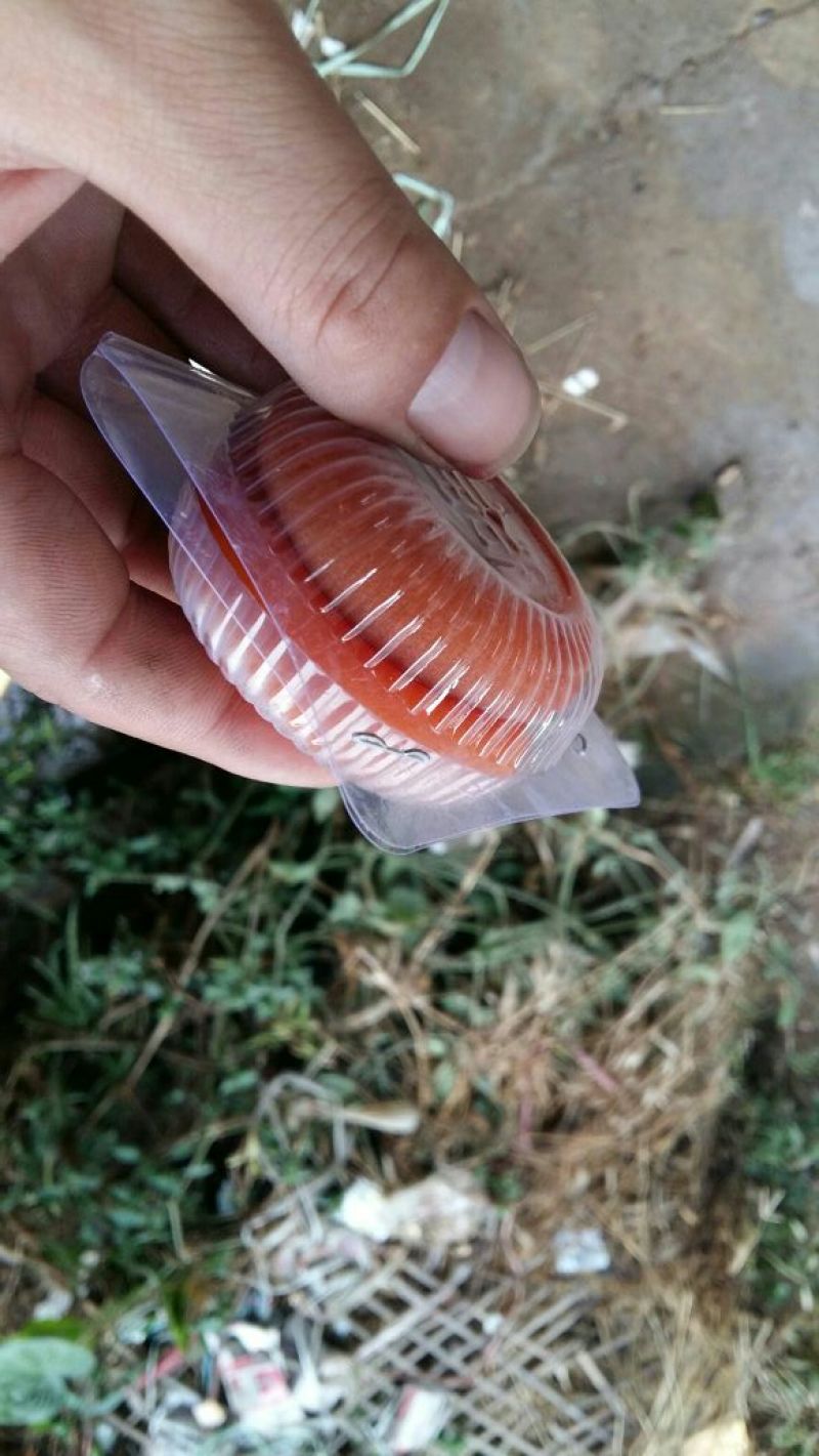 柿饼1~2两