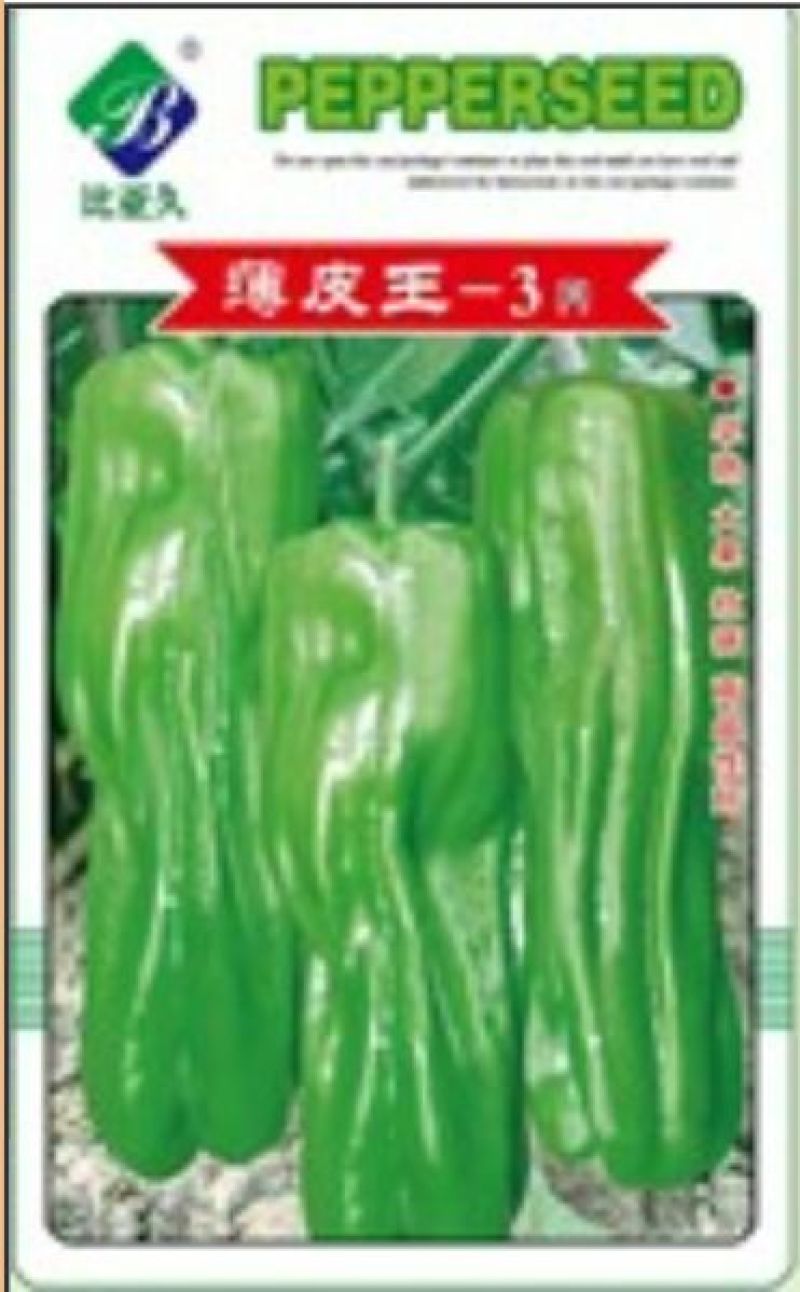 白茄子种子
