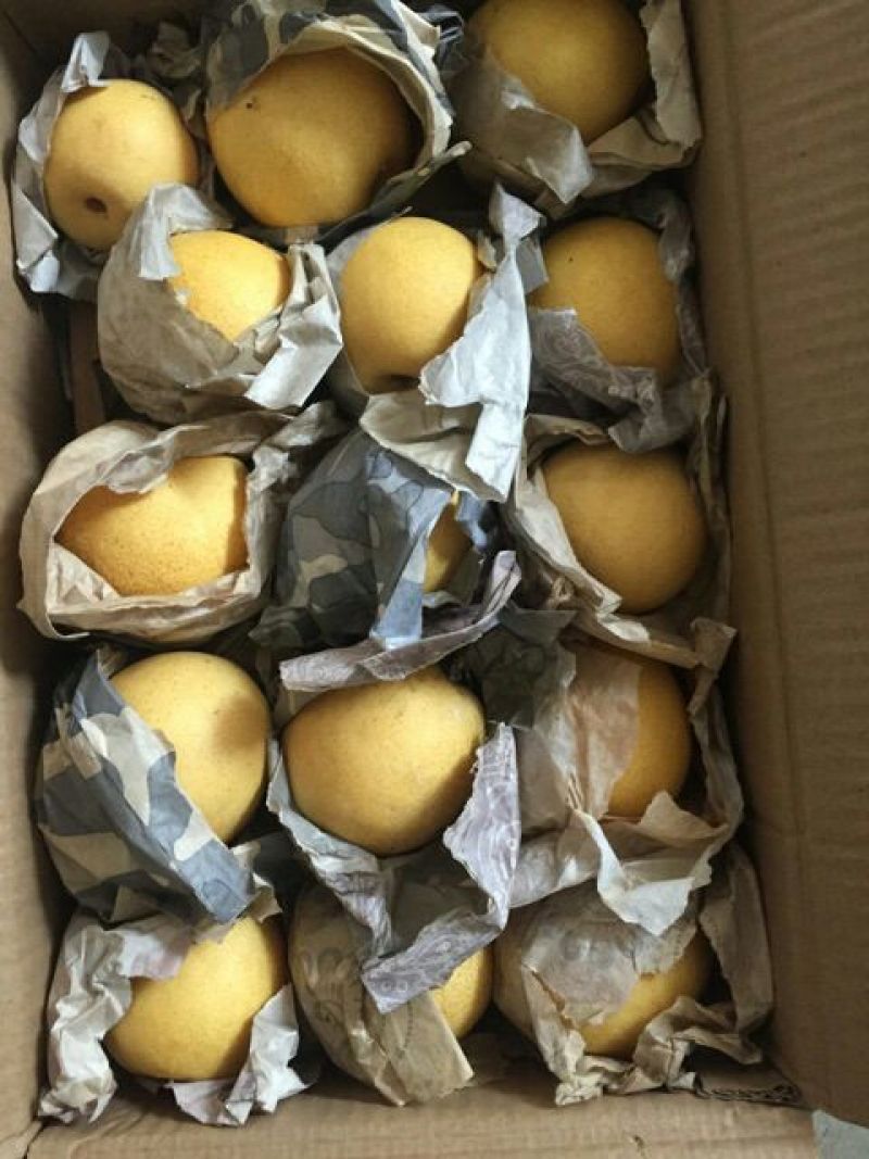 长把梨200~250g纸袋