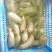 青萝卜1~1.5斤起