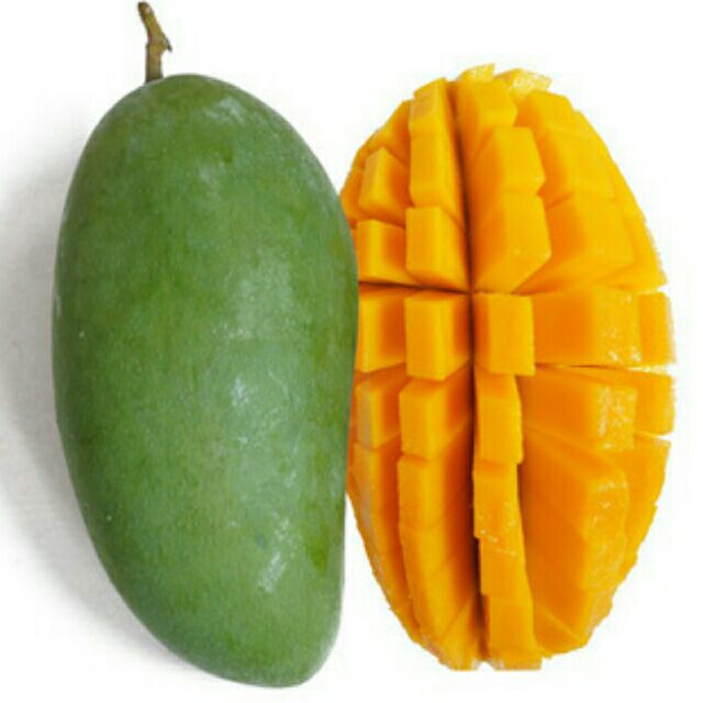 田阳县果菜批发市场桂七芒 5两以上批发_谭金