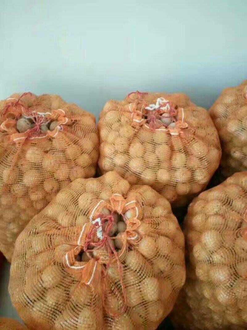 纸皮核桃30mm以上去皮干