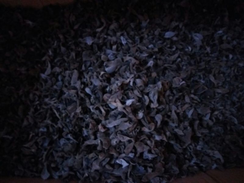 干木耳一级