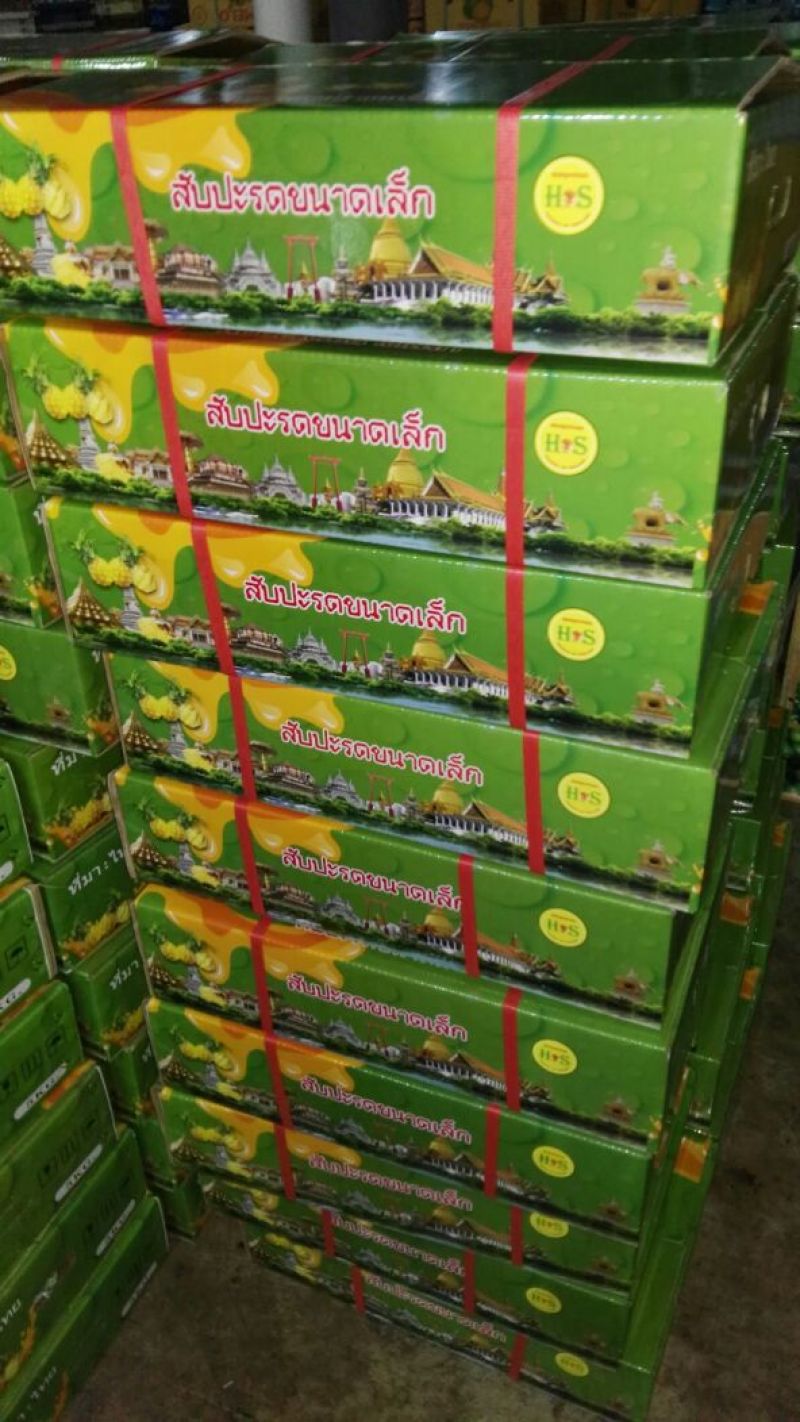 金钻十七号凤梨