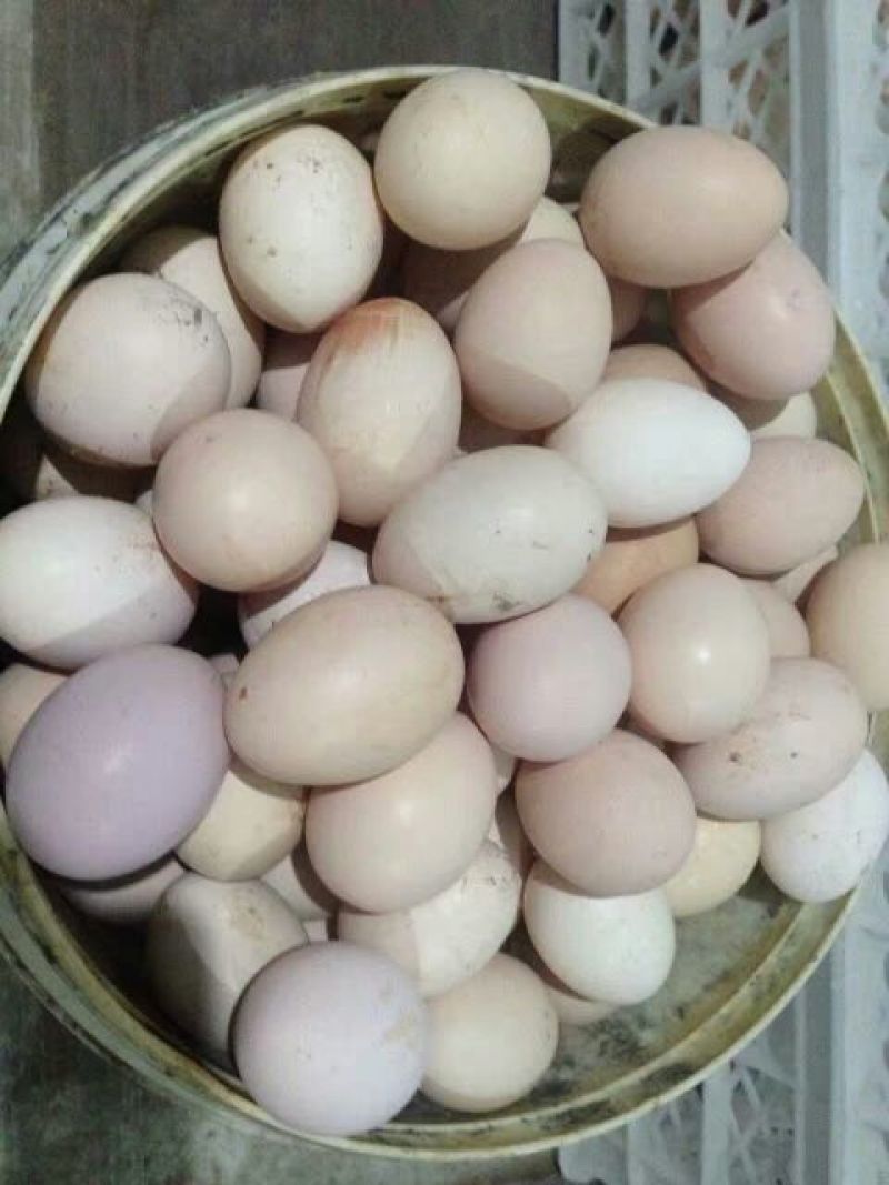 土鸡蛋食用40~50g