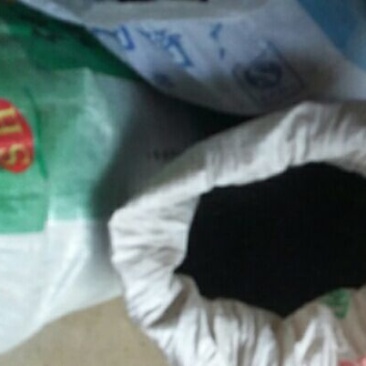 紫皮洋葱种子90%以上
