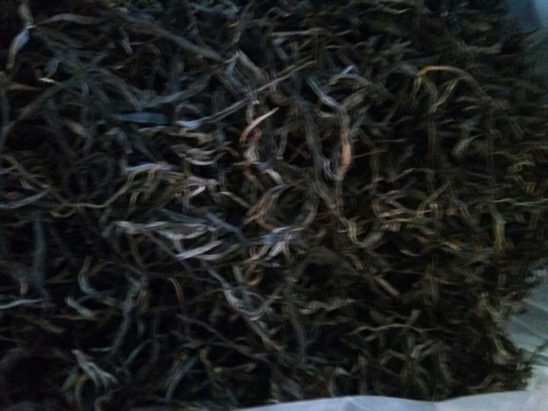 百年大树茶特级