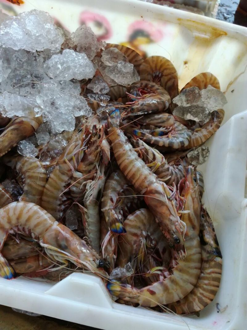 虾干一级