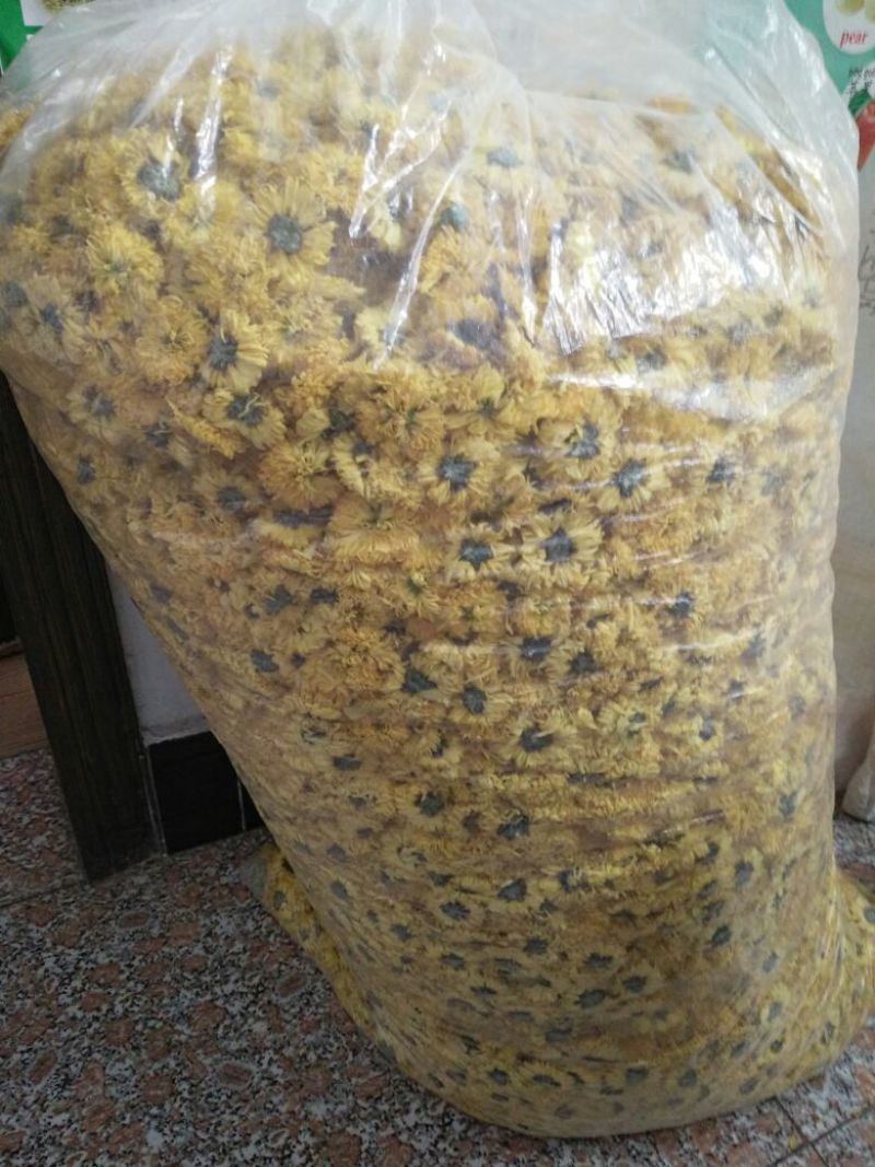皇菊茶一级