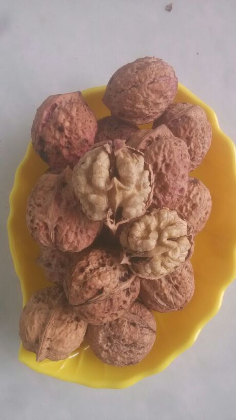 薄皮核桃