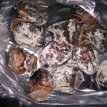 柿饼1~2两