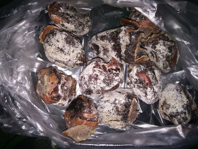 柿饼1~2两