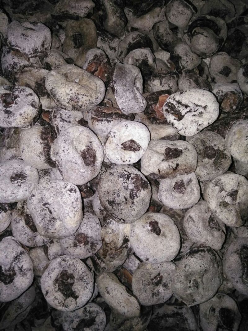 柿饼1~2两