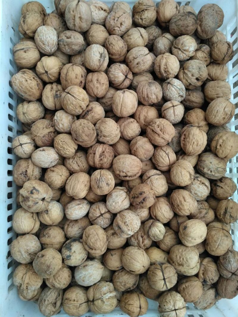 薄皮核桃30mm以上去皮干