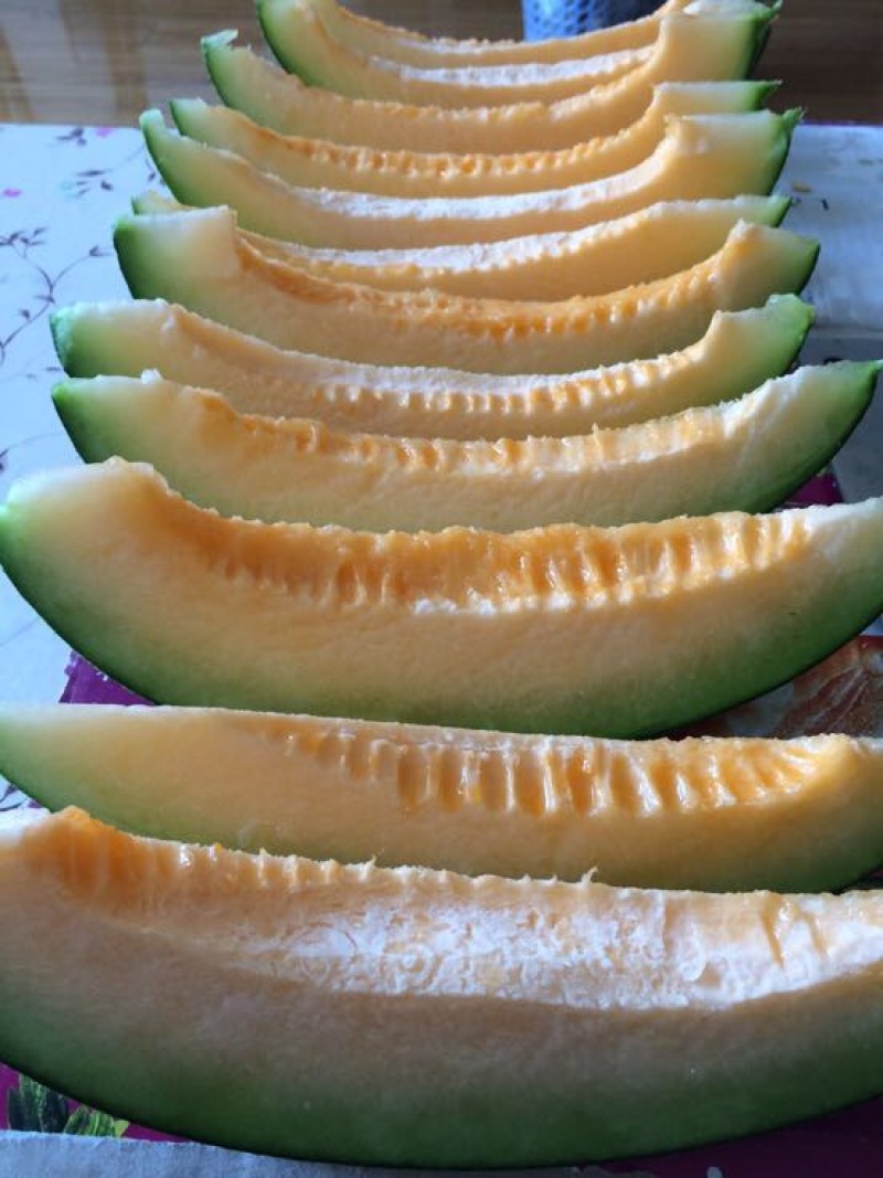 伽师瓜