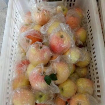 嘎啦苹果膜袋