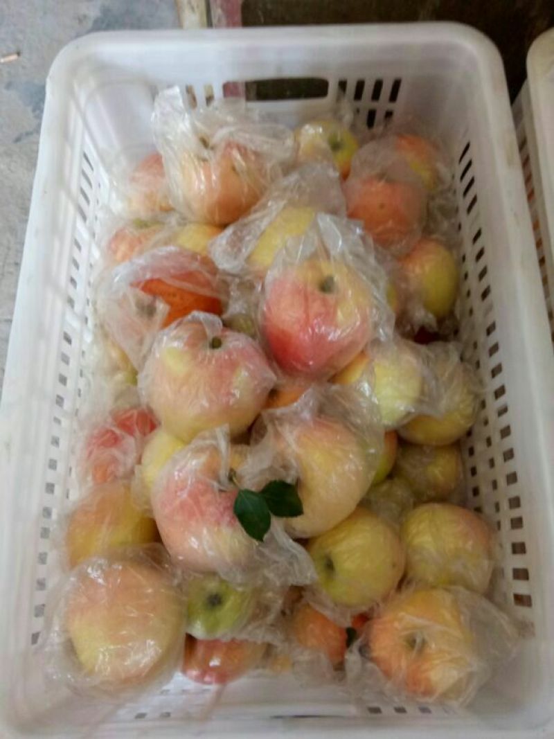 嘎啦苹果膜袋