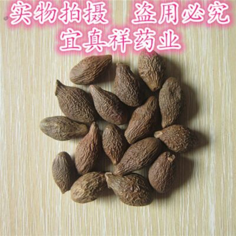 胖大海