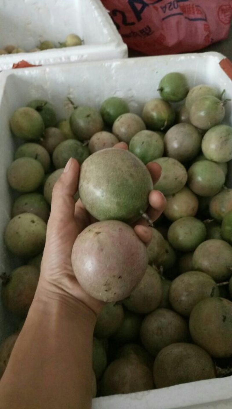 百香果紫果80~90g