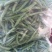 白花四季豆