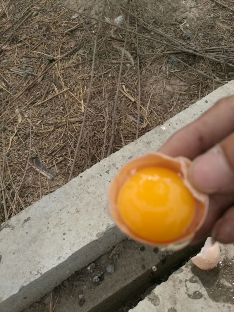 土鸡蛋食用50g以下