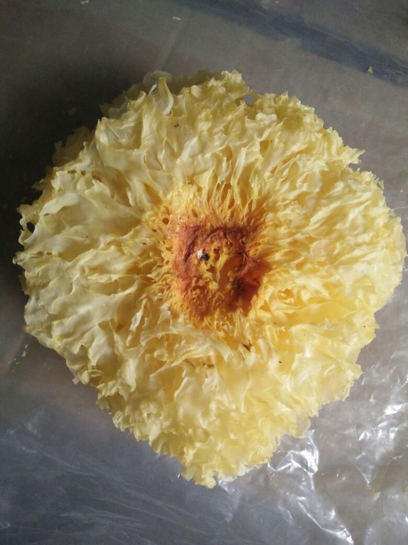 白木耳一级
