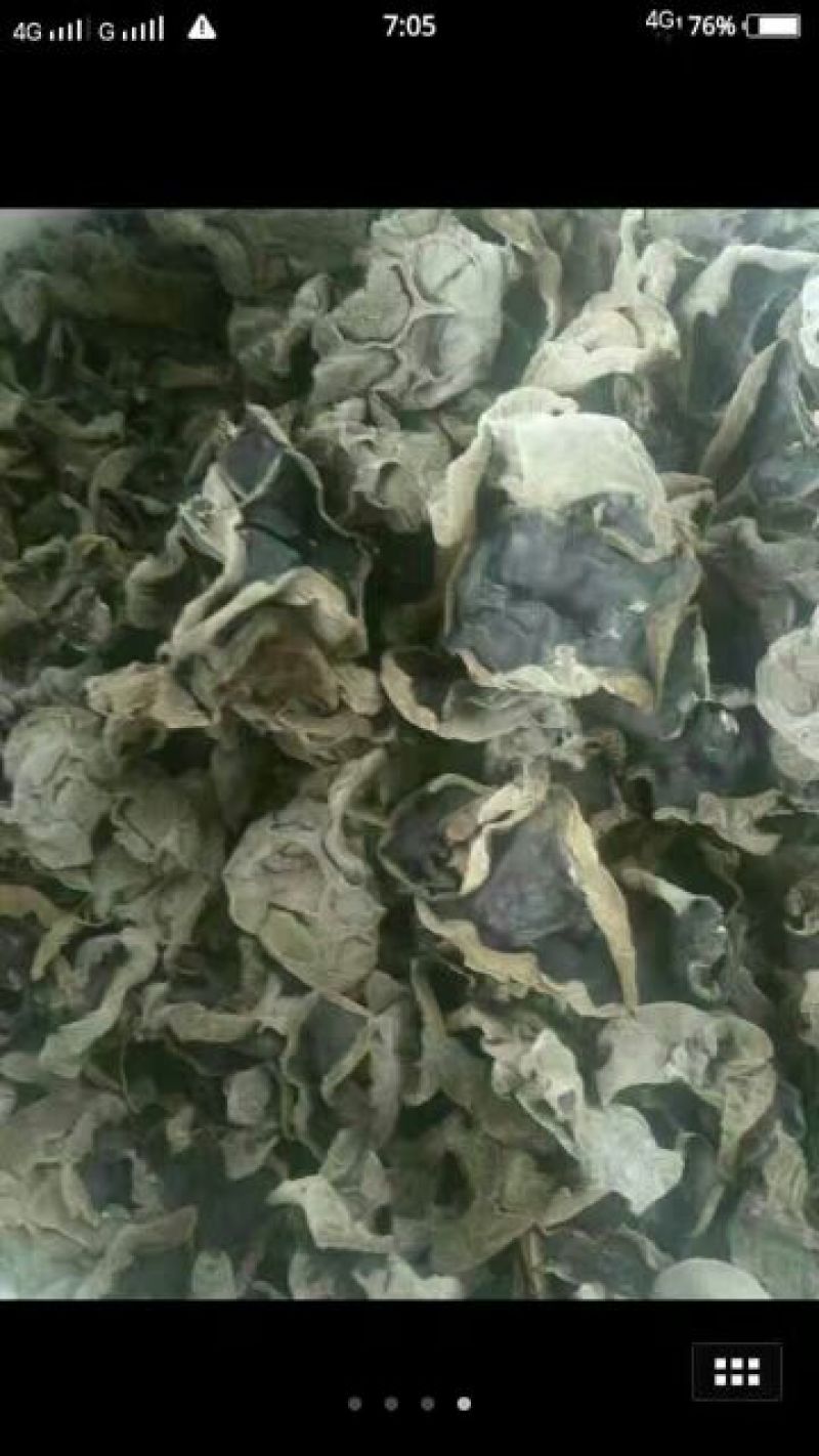 木耳一级