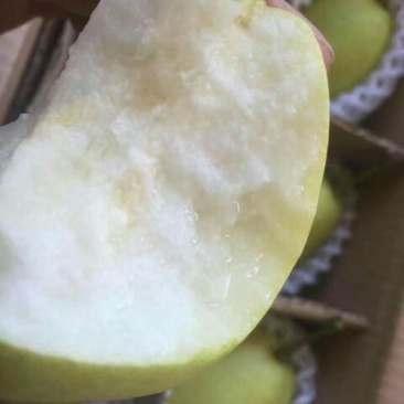 雪花梨300～500g纸袋