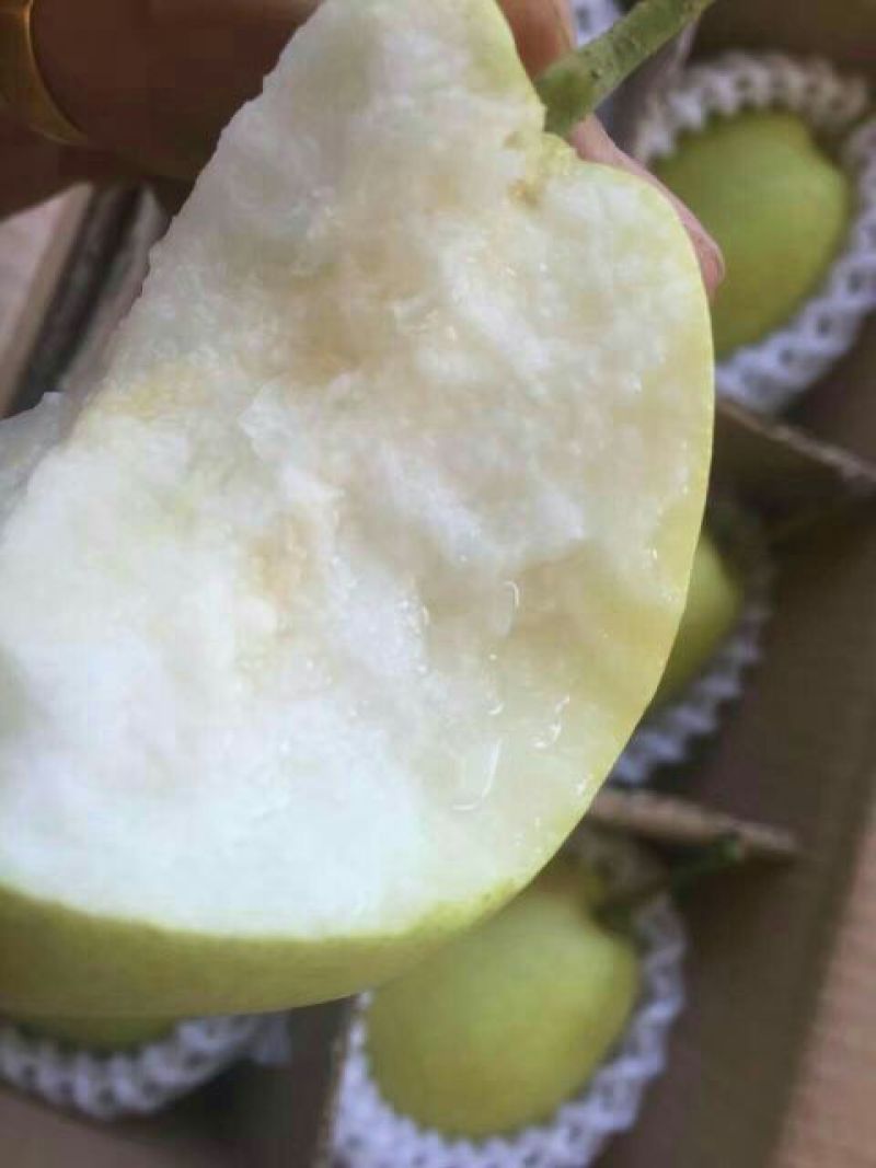 雪花梨300～500g纸袋