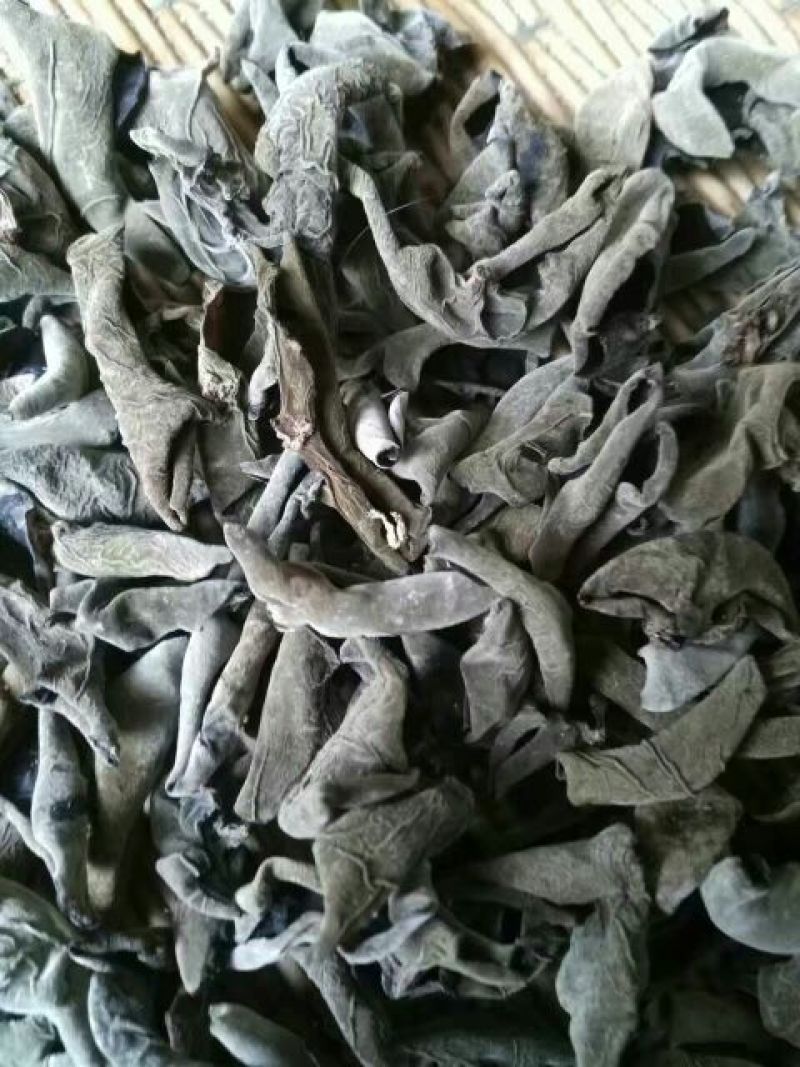 黑木耳特级