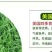 四季青草坪品种优良各种品种都有欢迎老板下单