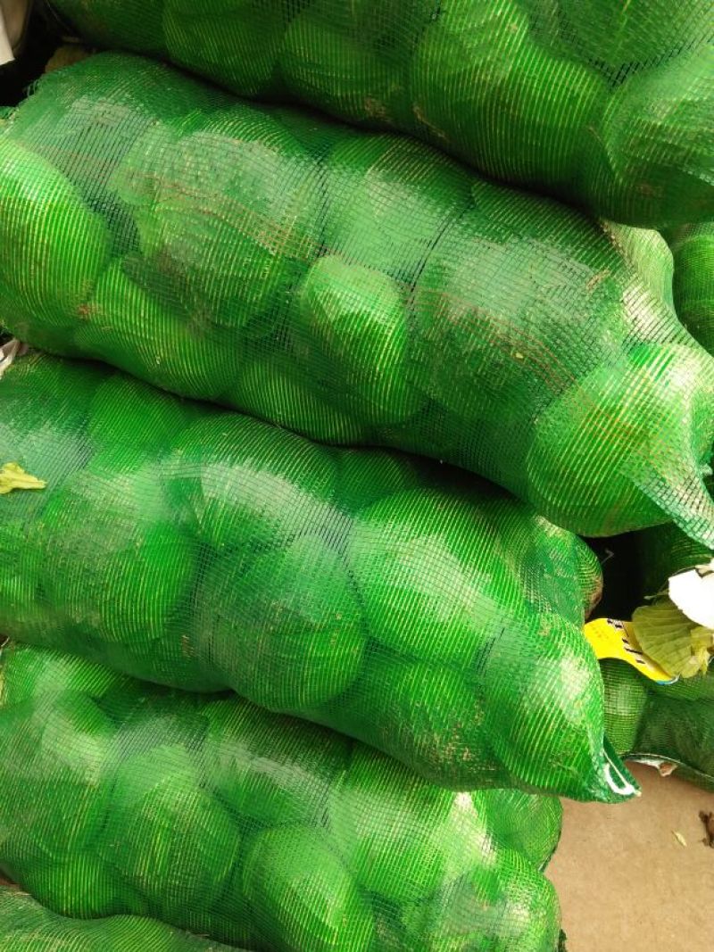 扁包菜，甘蓝，湖北扁包菜，湖北甘蓝2~3公斤精品