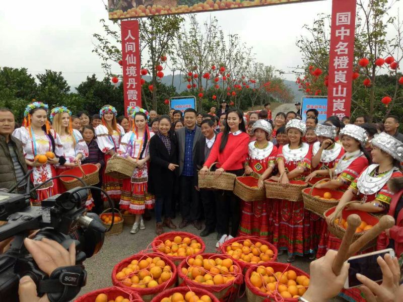 纽荷尔精品脐橙优质脐橙基地