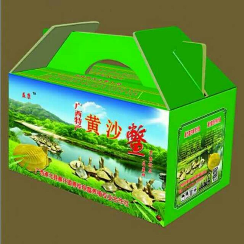 黄沙鳖