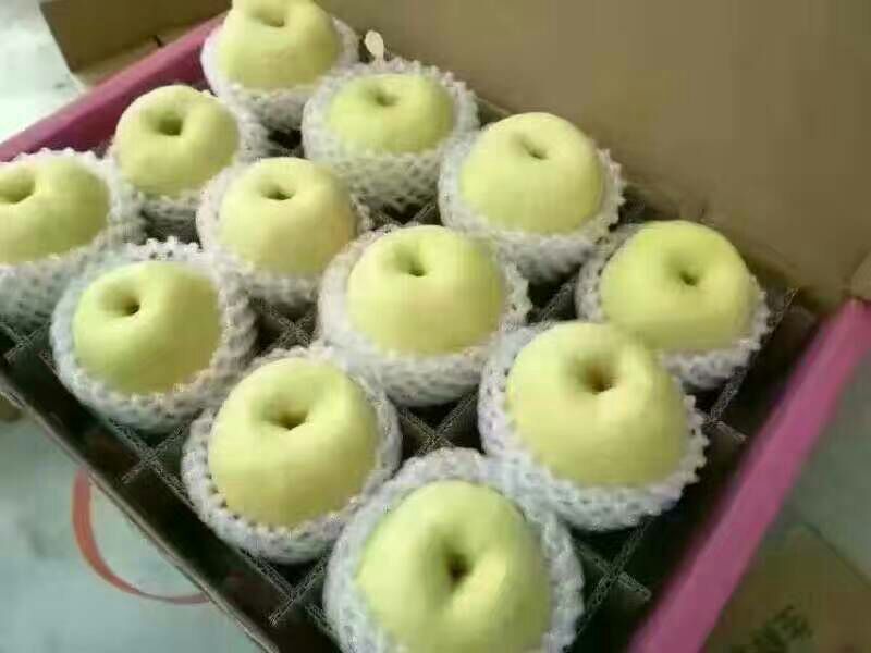 酥梨200~250g纸袋