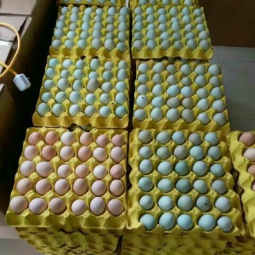 绿壳鸡蛋食用50g以下