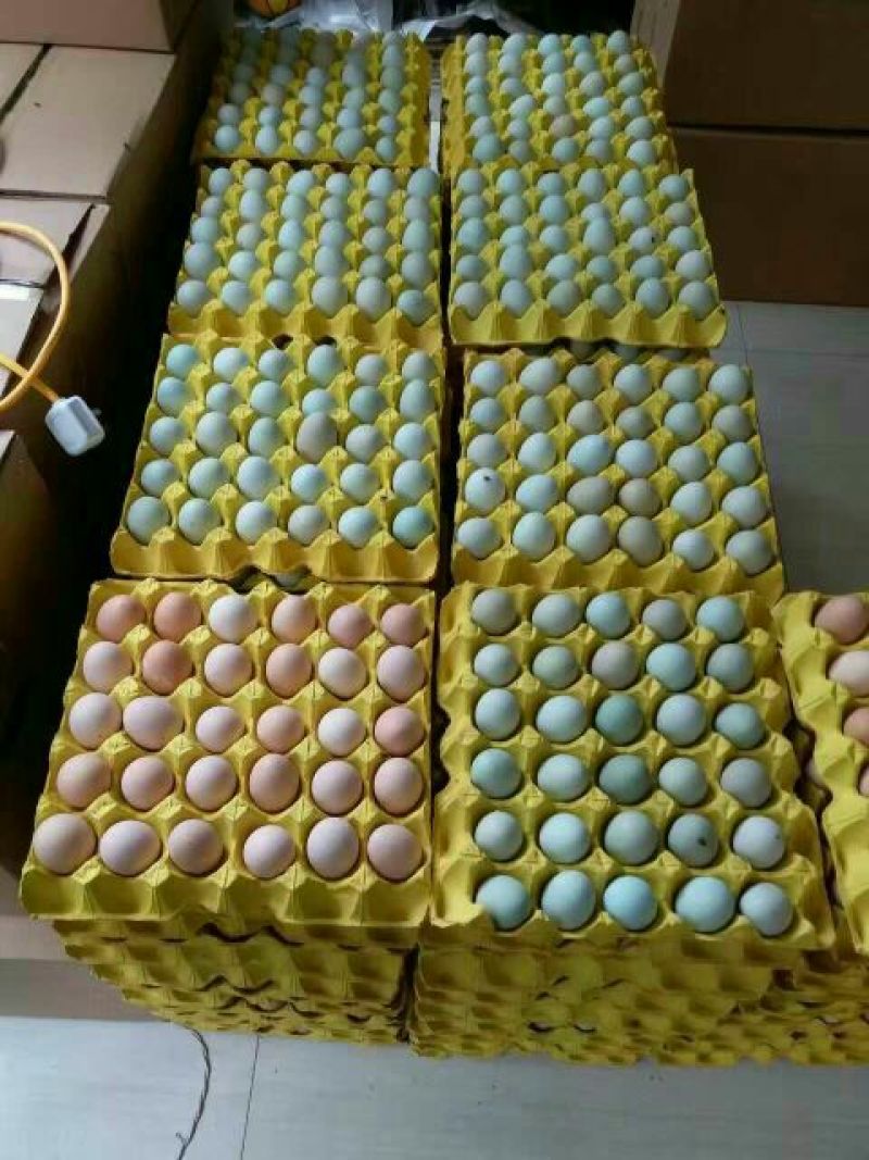 绿壳鸡蛋食用50g以下